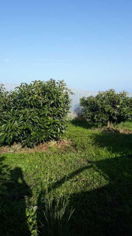 Suelo rústico en Venta en Villa De Mazo Santa Cruz de Tenerife