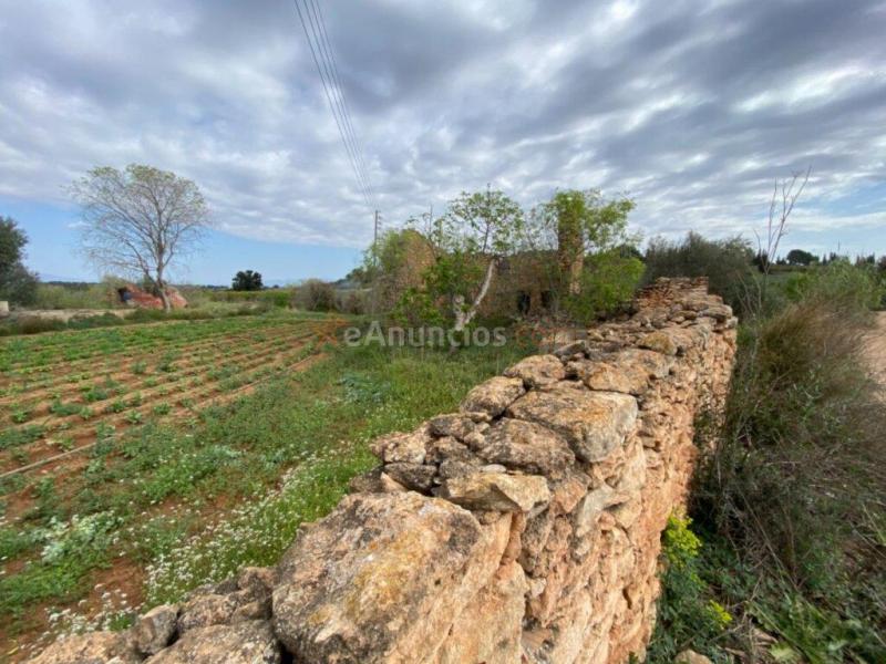 Finca a rehabilitar con agua y luz en entorno idílico