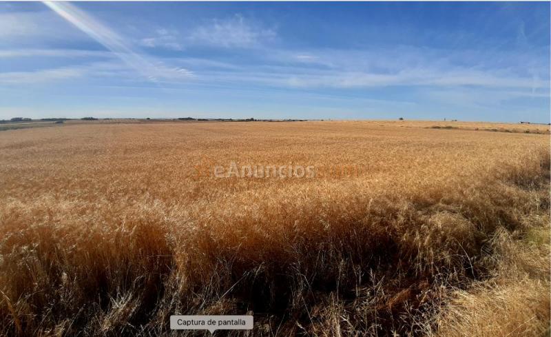 Finca rustica de secano 23.265 m2