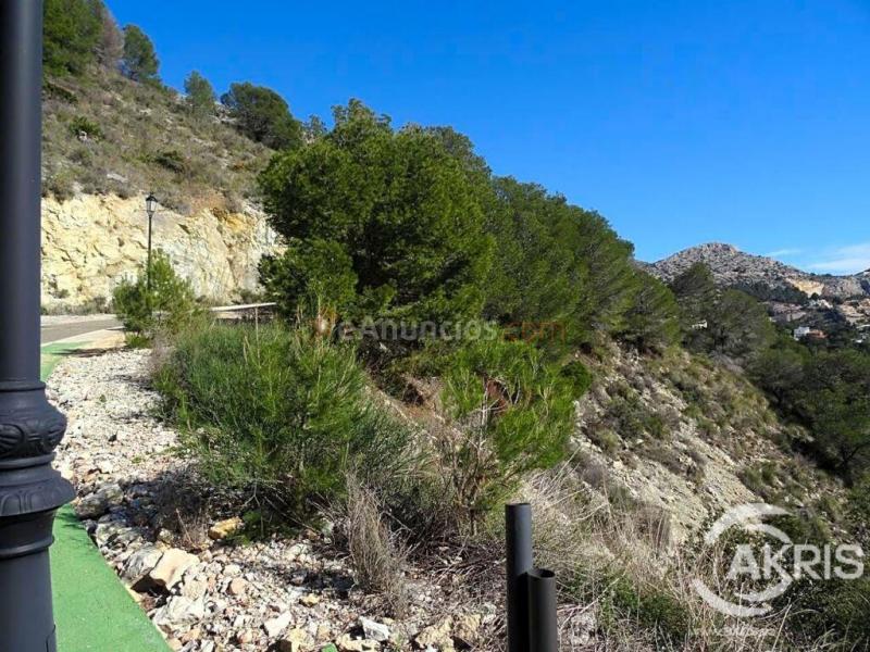 PARCELA CON VISTAS AL MAR EN ALTEA HILLS
