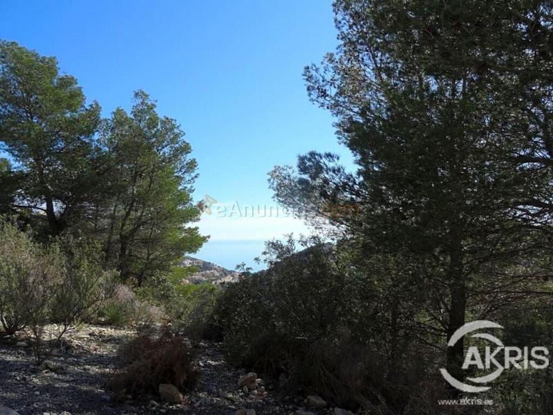 PARCELA CON VISTAS AL MAR EN ALTEA HILLS