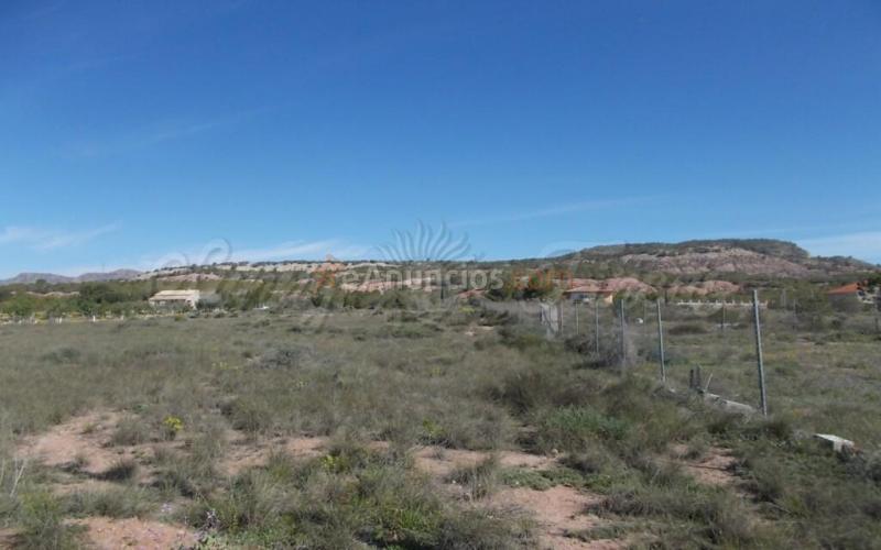 Casa de campo-Masía en Venta en Yecla Murcia