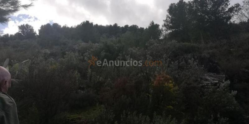 Casa Rústica en venta en El Pinar de 106 m2