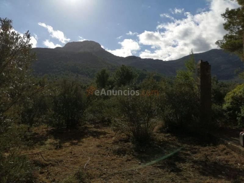Parcela en Venta en Alcalalí Alicante