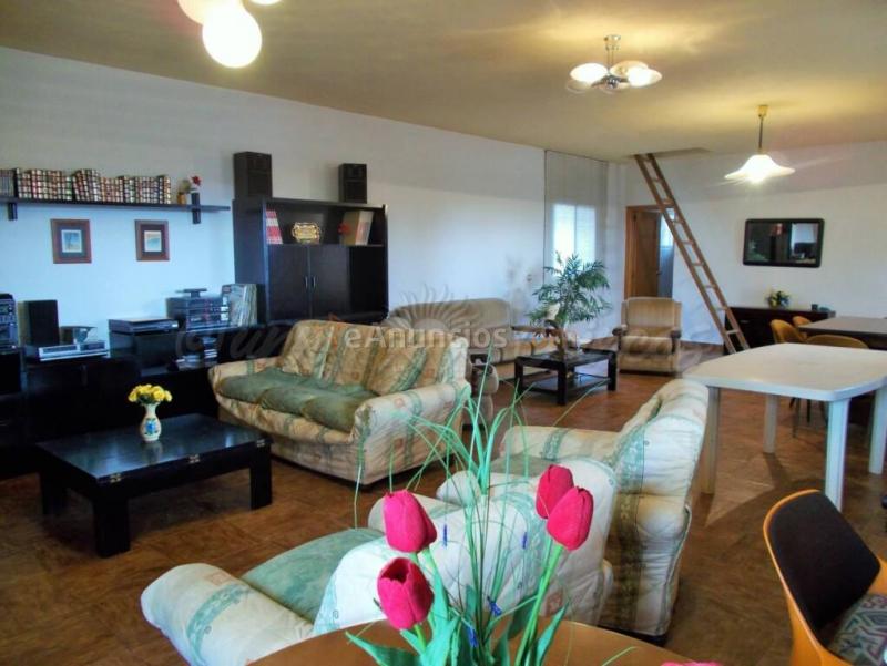 Casa-Chalet en Venta en Almansa Albacete