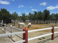 Casa de campo-Masía en Venta en Yecla Murcia