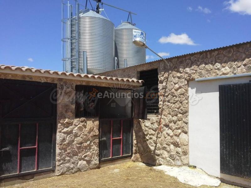 Casa de campo-Masía en Venta en Yecla Murcia