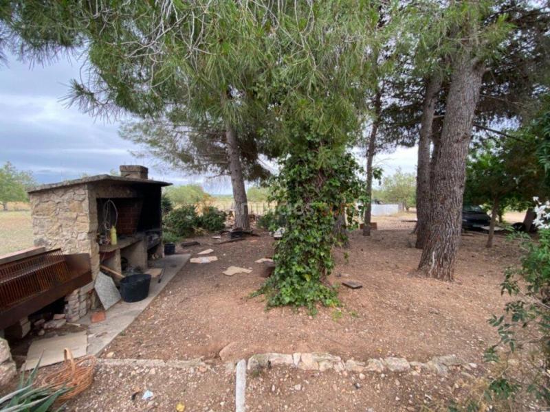 Fantástica finca en las afueras del pueblo