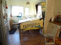 Pinball Adventure Indiana Jones Williams