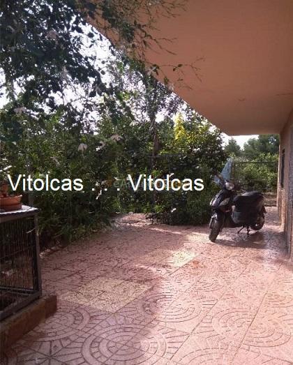 Maset:Chalet  120.000.-€  Partida Bovalar