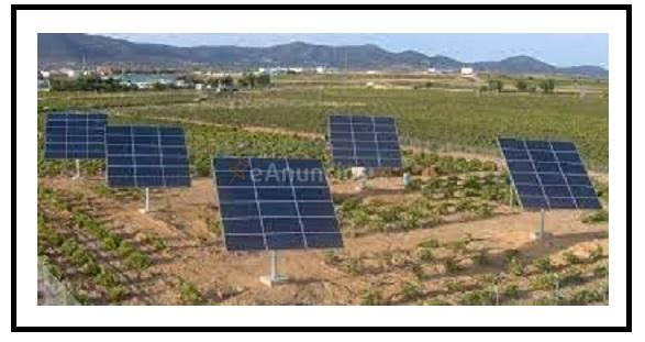 Buscamos terrenos y Fincas (Provincia de CS)