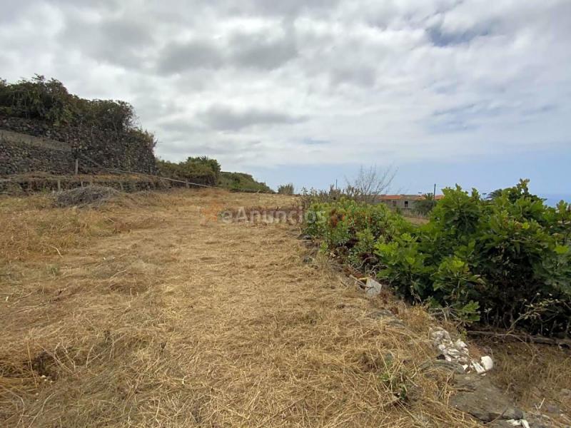 Se vende casa rural con finca