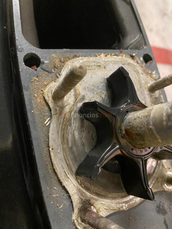 Mecanico y mantenimiento de enbarcaciones