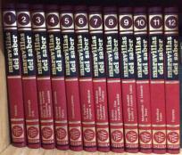 ENCICLOPEDIA MARAVILLAS DEL SABER perfecto estado