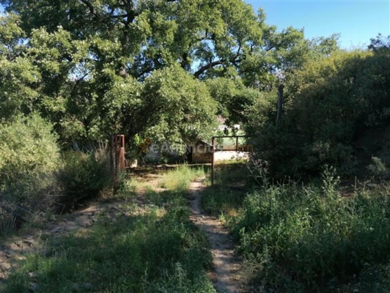 Casa de campo-Masía en Venta en Farajan Málaga