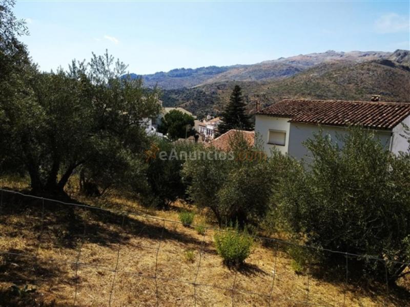 Parcela en Venta en Parauta Málaga