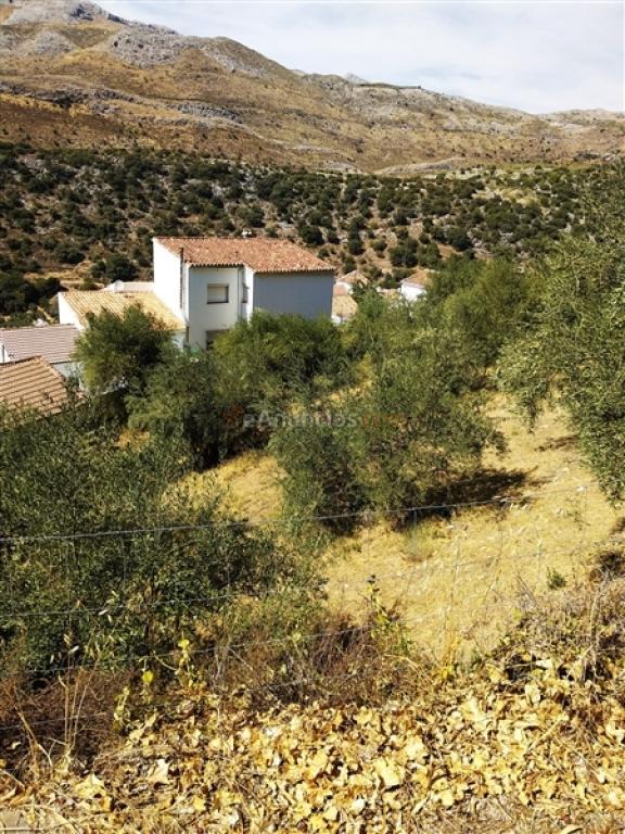 Parcela en Venta en Parauta Málaga