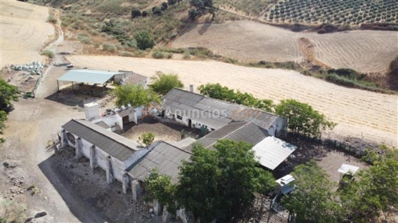 Edificio singular en Venta en Ronda Málaga