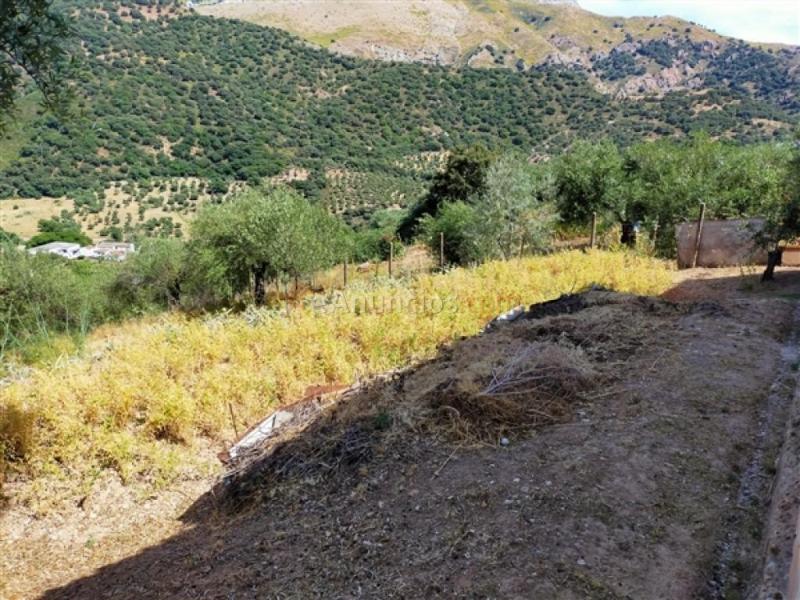 Parcela en Venta en Benaojan Málaga