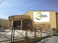 NAVE PREPARADA COMO SALONES DE BAILE, BODAS. MUY AMPLIA. PARA REFORMAR