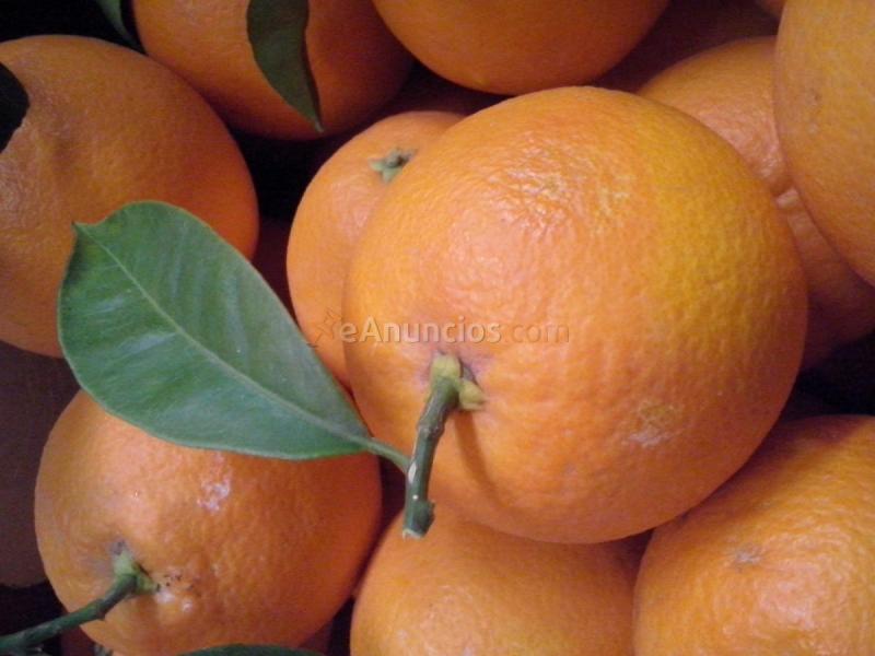 Naranjas 100 naturales