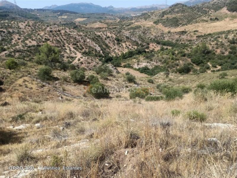 Parcela en Venta en Burgo, El Málaga