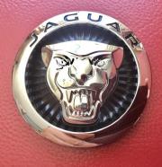 Emblemas jaguar delantero y trasero