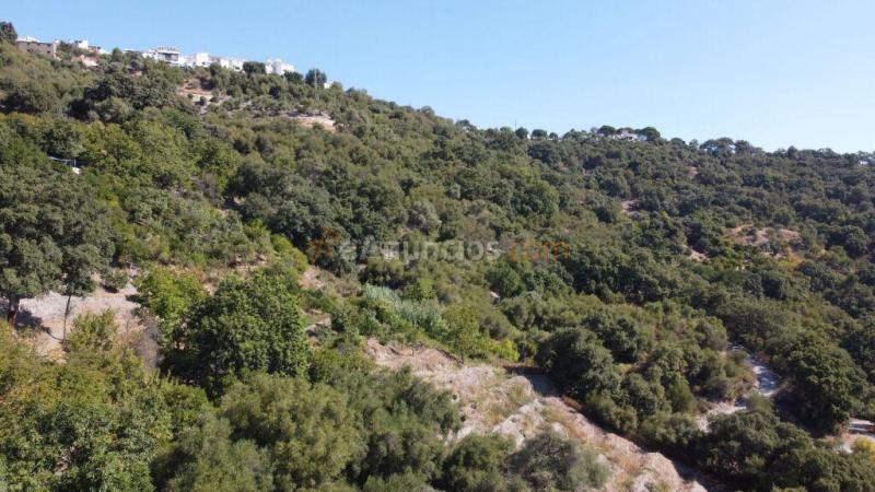 Suelo rústico en Venta en Benarraba Málaga
