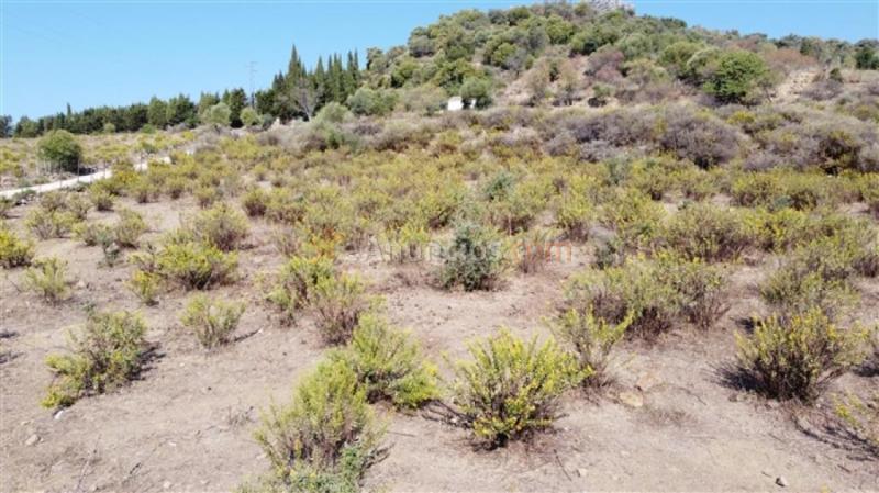 Suelo rústico en Venta en Gaucin Málaga