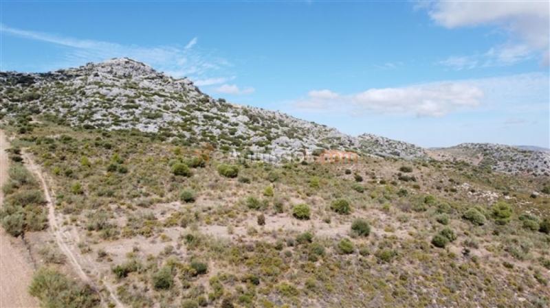 Parcela en Venta en Cuevas Del Becerro Málaga