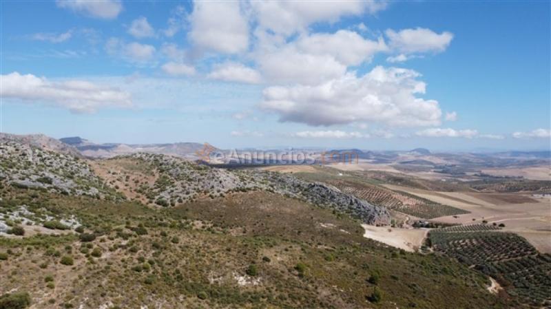 Parcela en Venta en Cuevas Del Becerro Málaga