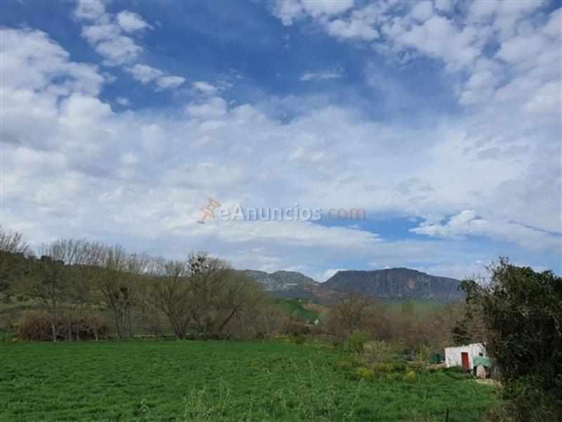 Casa de campo-Masía en Venta en Ronda Málaga