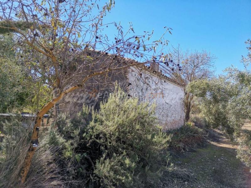 Casa de campo-Masía en Venta en Biar Alicante