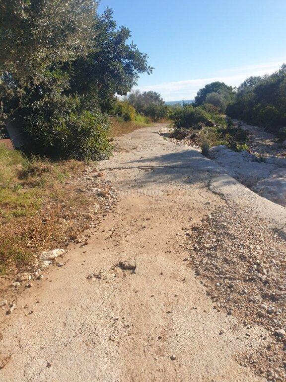 Terreno en Codonyol - Alcanar