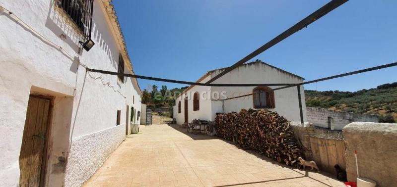 Venta finca Rustica con olivos