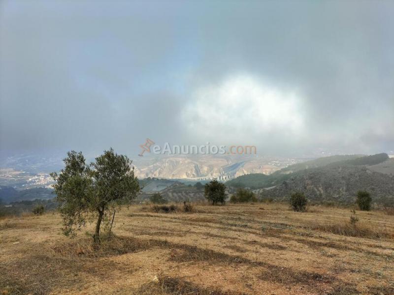 Casa Rústica en venta en Lecrín de 15800 m2