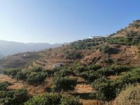 Casa de campo-Masía en Venta en Itrabo Granada