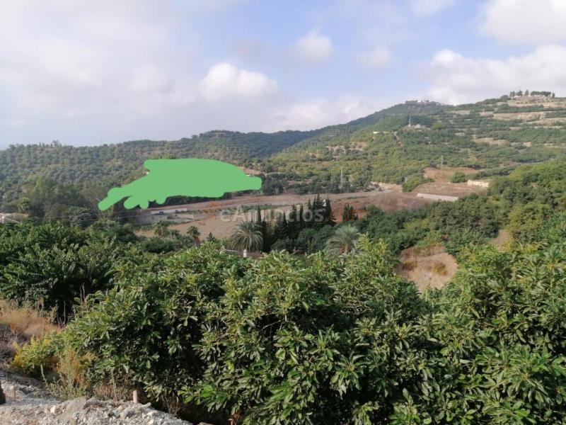 Suelo rústico en Venta en Motril Granada