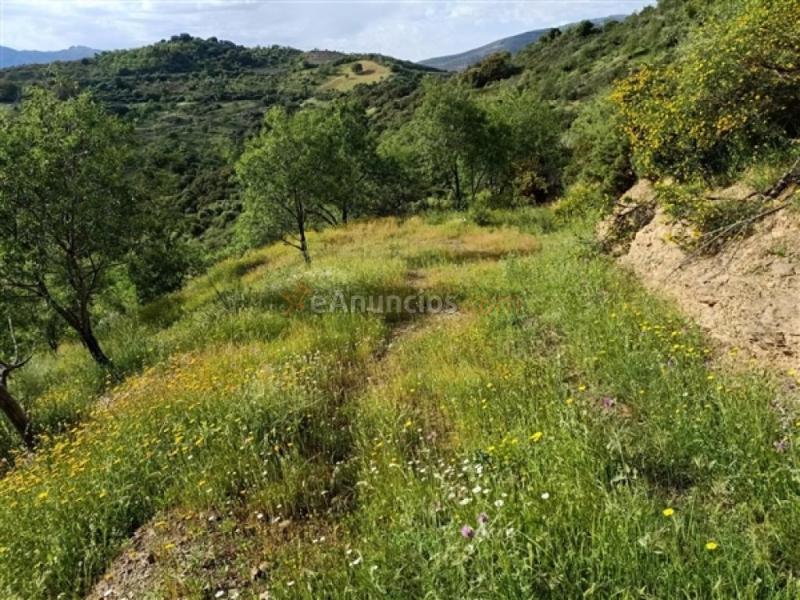 Parcela en Venta en Benadalid Málaga