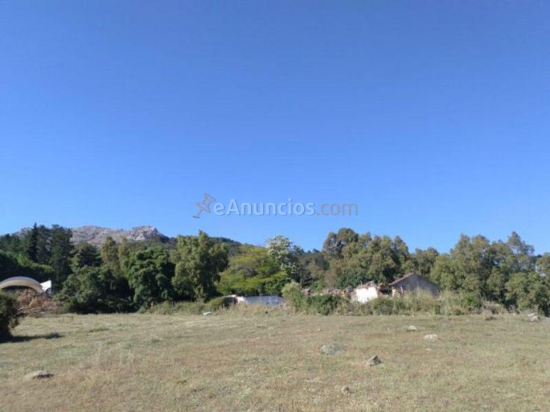 Parcela en Venta en Cortes De La Frontera Málaga