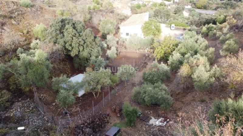 Parcela en Venta en Ronda Málaga