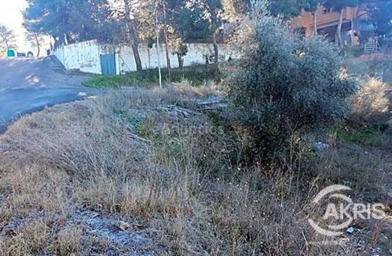 Terreno Urbano en el Sector del Beato, Olías del Rey
