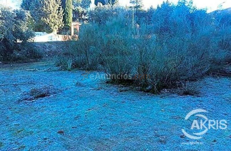 Terreno Urbano en el Sector del Beato, Olías del Rey